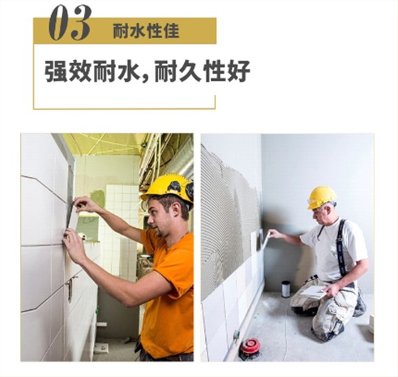 瓷专背交05