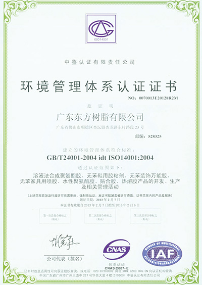 2013年环境管理体系认证证书