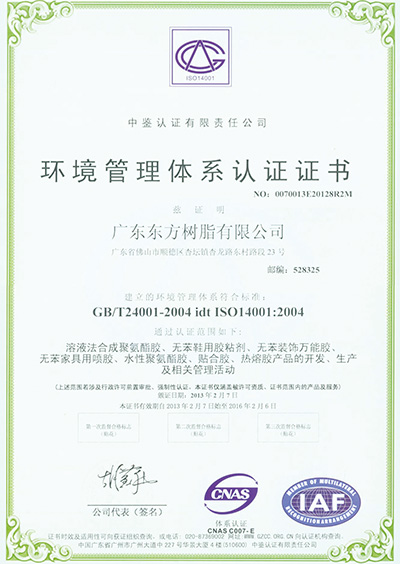 2013年环境管理体系认证证书