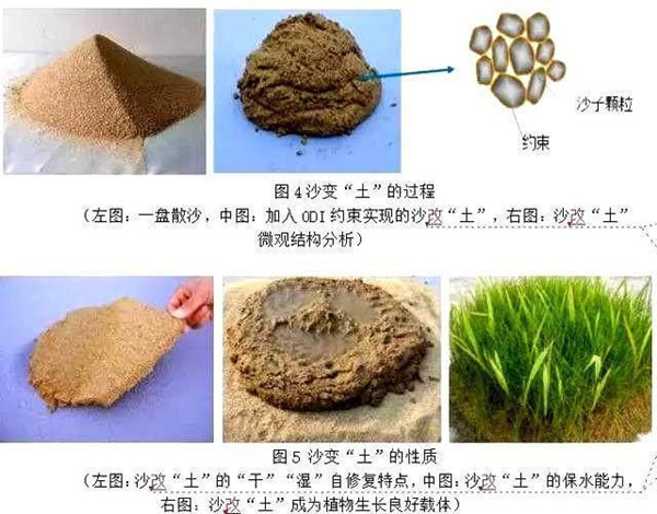 一哥装饰胶 胶水呈现新应用趋势 推广多元化新尝试2