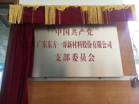 装饰胶