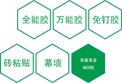 关于一哥