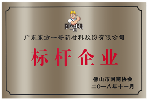 广东东方一哥新材料股份有限公司出席佛山网商协会五周年庆典