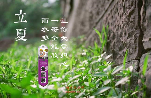 立夏雨水多 一哥全能胶让你无需担心
